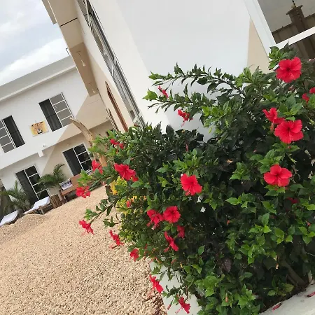 Vick Boutique Hotel With New Power Backup-2
